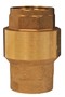 Dixon CV050 1/2" SPRING LOADED CHECK VALVE